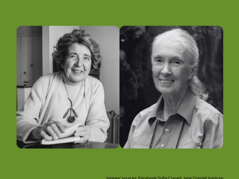 Leading Boldly with Heart. Lessons from Mamma Erasmus and Jane&nbsp;Goodall