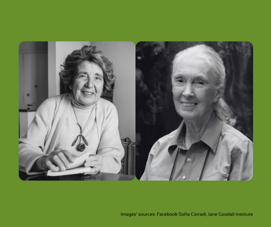 Leading Boldly with Heart. Lessons from Mamma Erasmus and Jane&nbsp;Goodall