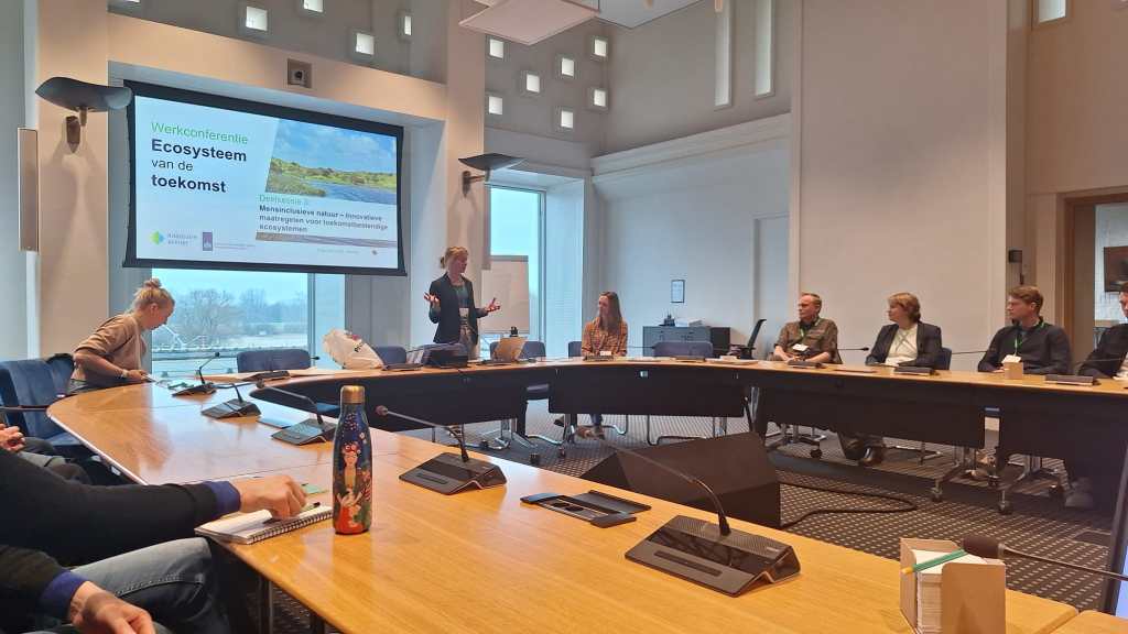 Connecting Policy and Youth Leadership: The Amazons Events in the&nbsp;Netherlands